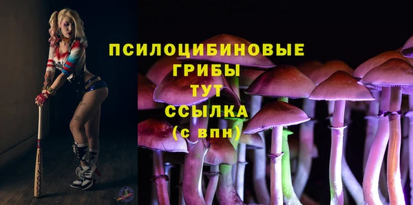 метадон Алексин