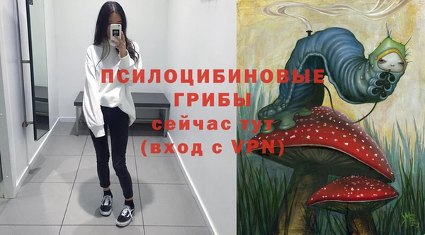 шишки Алексеевка